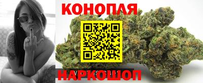 гидра Партизанск