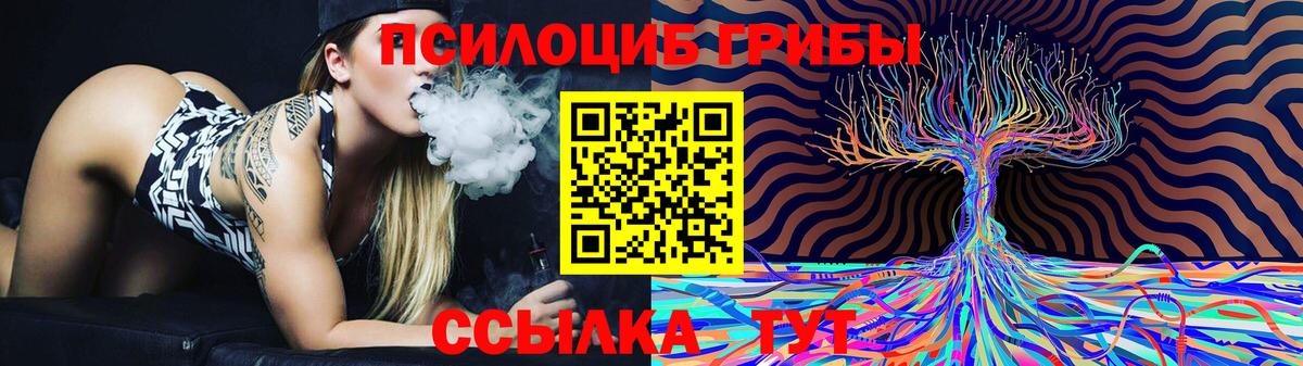 Псилоцибиновые грибы мицелий Сибай