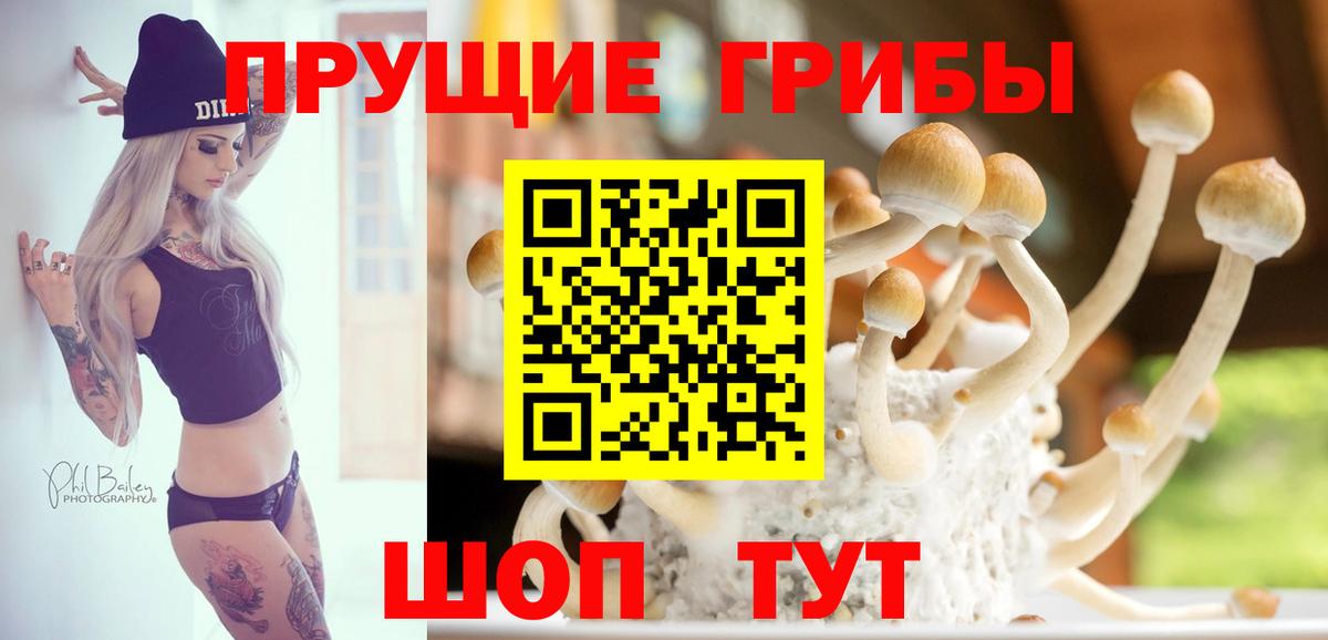 Псилоцибиновые грибы Psilocybe  Псилоцибиновые грибы Cubensis  Сибай  Вход с VPN 